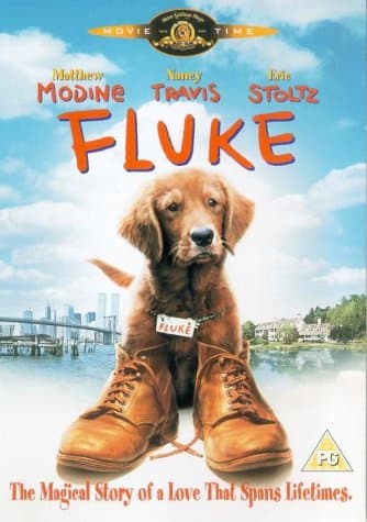 Fluke - Fluke