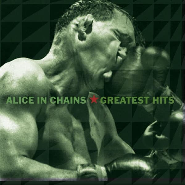 Alice In Chains – Greatest Hits (CD) (CD)