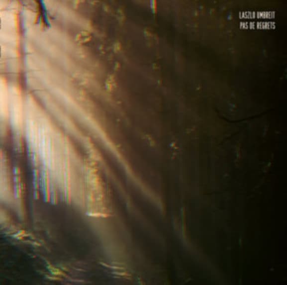 Laszlo Umbreit - Pas De Regrets (LP)
