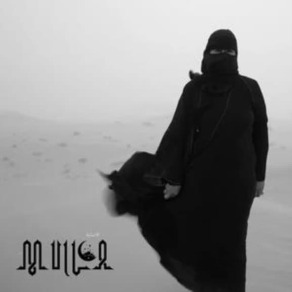 Mulla - The Injury (LP)
