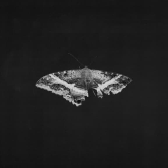Kendrick Lamar - To Pimp A Butterfly (2 LP) (10th Anniversary Edition)