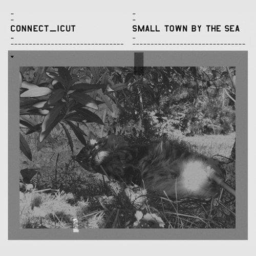 Connect_icut - Small Town By The Sea (CD)