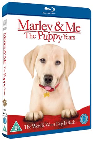 Marley And Me 2: The Puppy Years (Import)