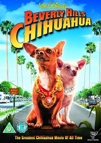 Beverly Hills Chihuahua (Import)