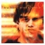 Big Leaves - Alien & Familiar (CD)