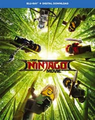 The Lego Ninjago Movie (Import)