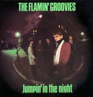 Flamin Groovies - Jumpin In The Night