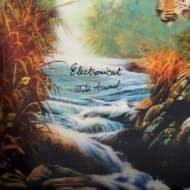 Electronicat - Wild Animal (LP)