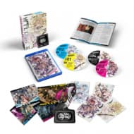 Combatants Will Be Dispatched!: The Complete Season (limited Edition) (Import)