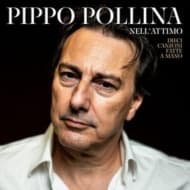 Pippo Pollina - Nell'attimo, Dieci Canzoni Fatte a Mano (LP)