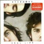 Evermore - Real Life