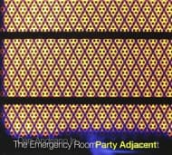 Dan Andriano In The Emergency Room - Party Adjacent (CD)