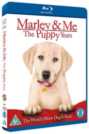 Marley And Me 2: The Puppy Years (Import)