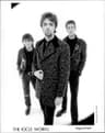 The Icicle Works