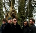 The Gloaming