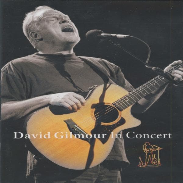 David Gilmour - In concert (DVD)