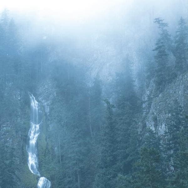 Wolves In The Throne Room - Diadem Of 12 Stars (2 LP)