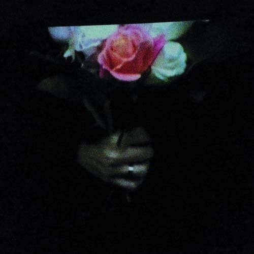 Paper Dollhouse - Aeonflower (LP)