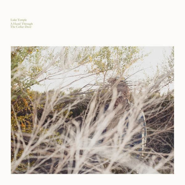 Luke Temple - A Hand Through The Cellar Door (LP)