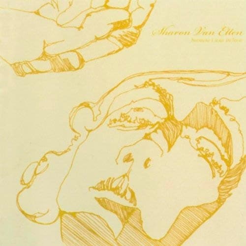 Sharon Van Etten - Because I Was In Love (LP)