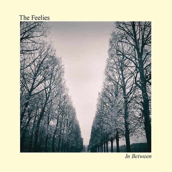 The Feelies - In Between (LP)