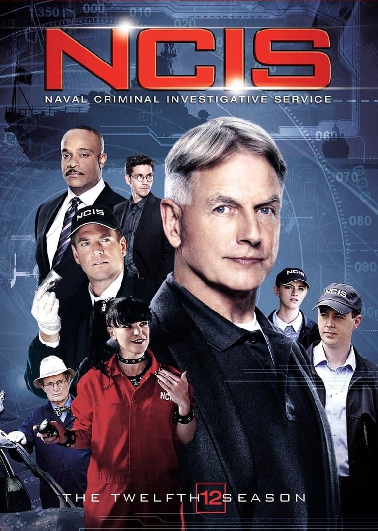Ncis: Season 12 (Import)