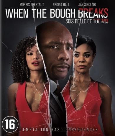 When The Bough Breaks (Blu-ray)
