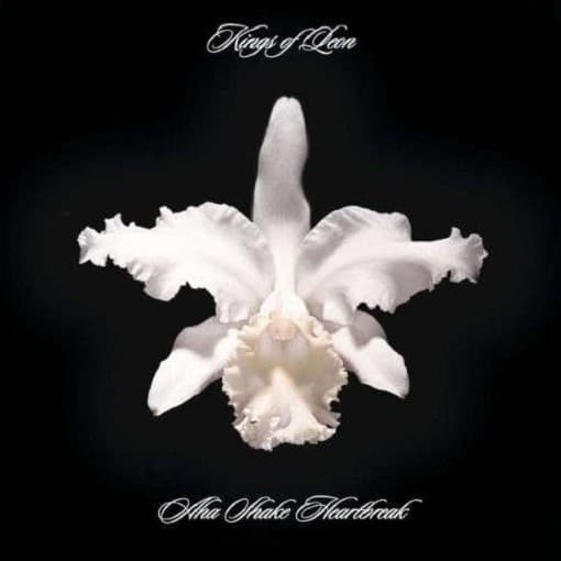 Kings Of Leon - Aha Shake Heartbreak