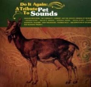 Various - Do It Again:Trib.To Pet Sounds