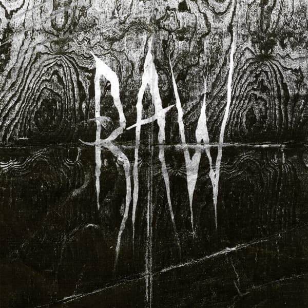 Raw - From The First Glass To The Grave (LP)