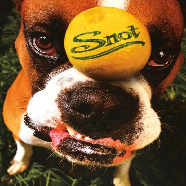 Snot - Get Some (LP)