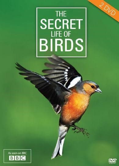 Secret life of birds (DVD)
