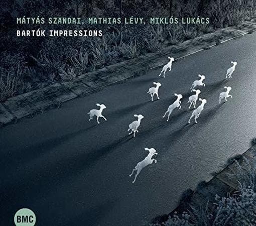 Mátyás Szandai, Mathias Lévy, Miklós Lukács - Bartók Impressions (CD)
