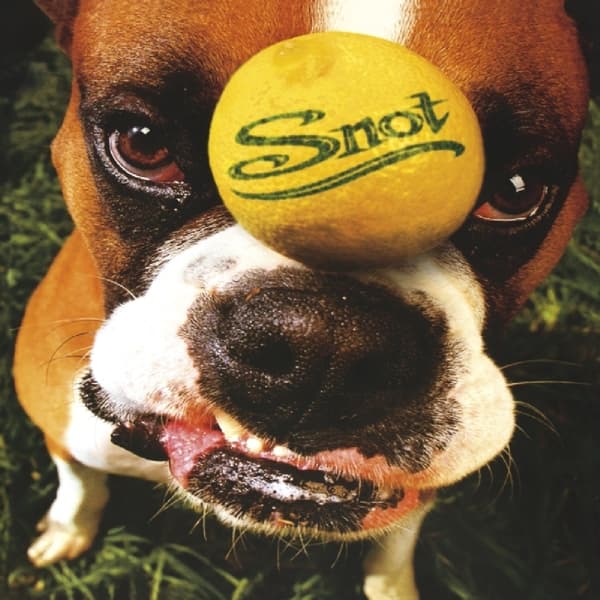 Snot - Get Some (CD)