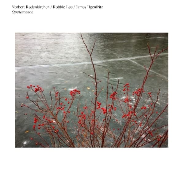 Norbert Rodenkirchen, Robbie Lee, James Ilgenfritz - Opalescence (LP)