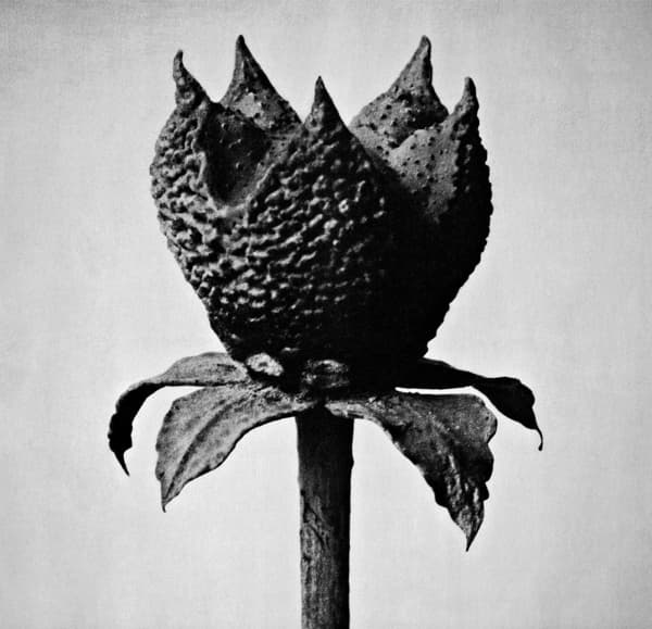 Masayoshi Fujita - Book Of Life (LP)