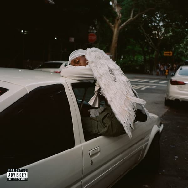 Blood Orange - Negro Swan (2 LP)