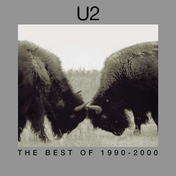 U2 - The Best Of 1990-2000 (2 LP) (Remastered)