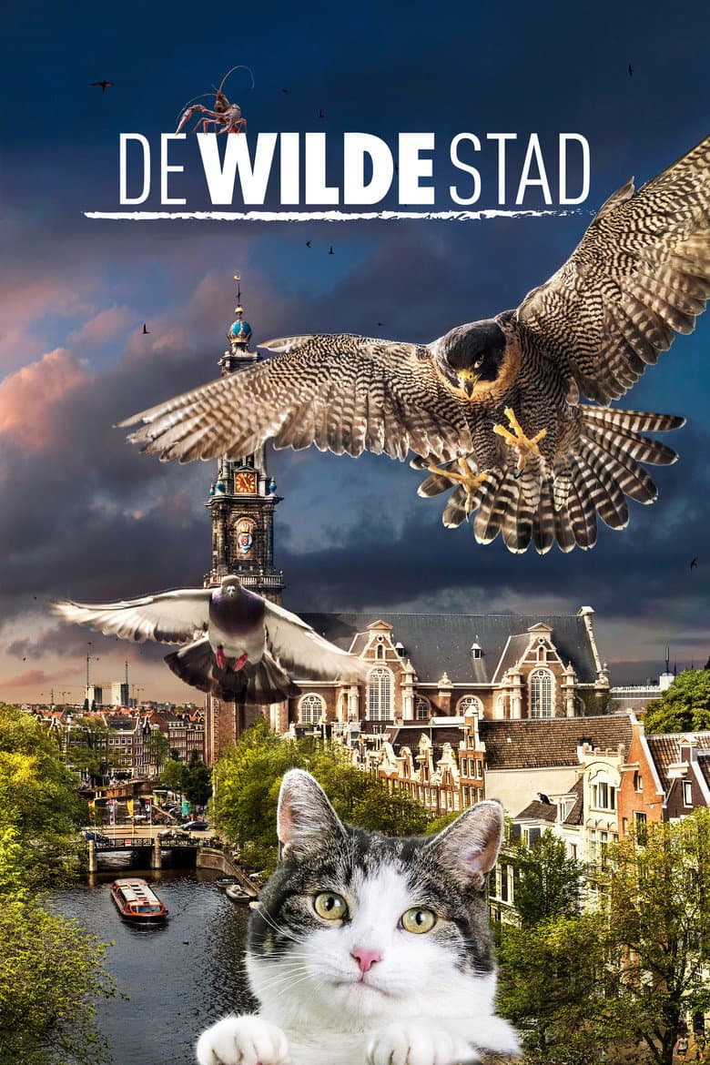 De Wilde Stad (Blu-ray)