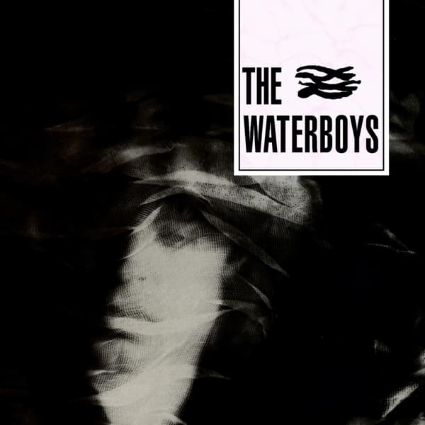 The Waterboys - The Waterboys (CD)