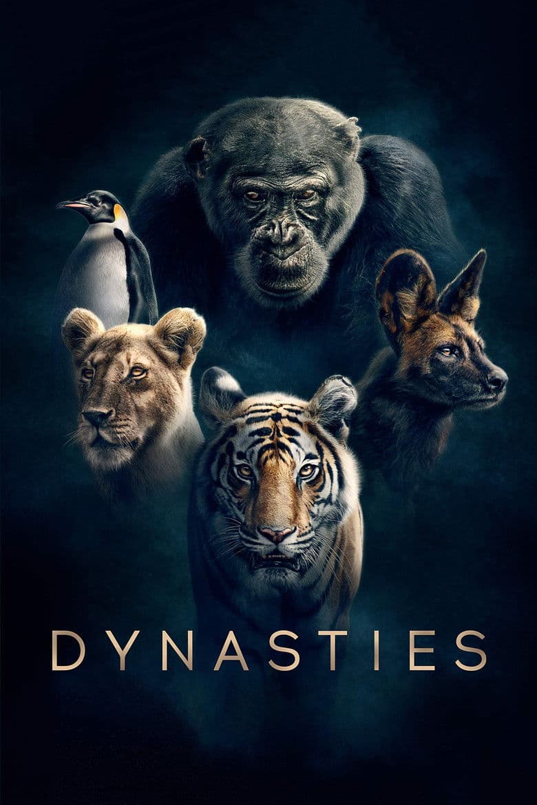 Dynasties (Import)