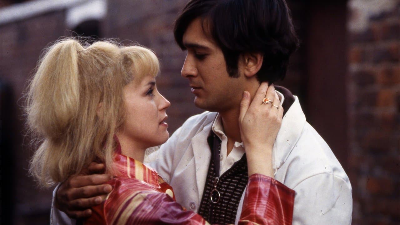 East Is East (Import)