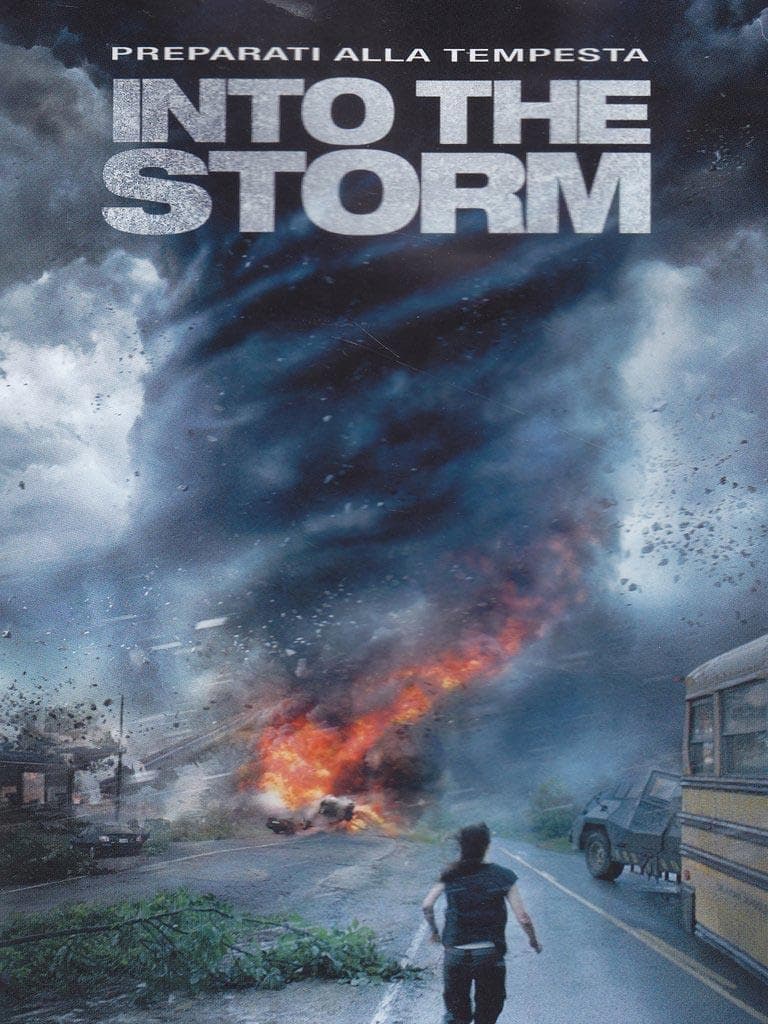 Into The Storm (ds) (Import)