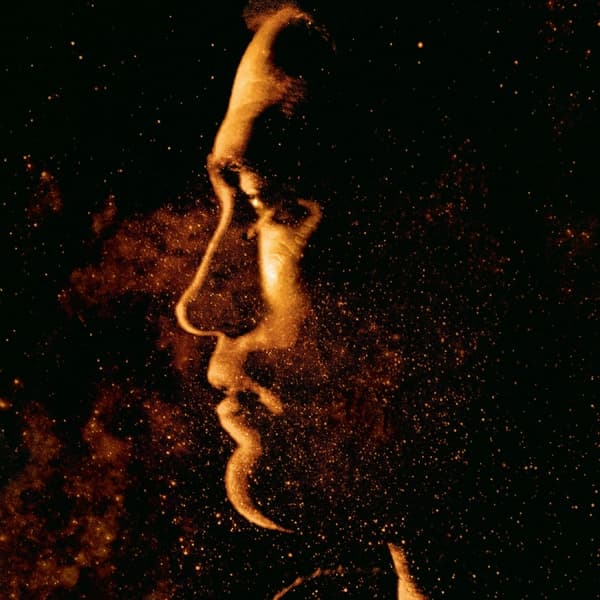Stuart A. Staples - High Life (LP)
