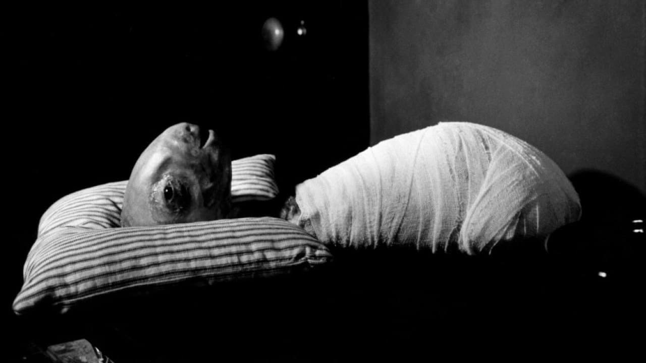 Eraserhead (Import)