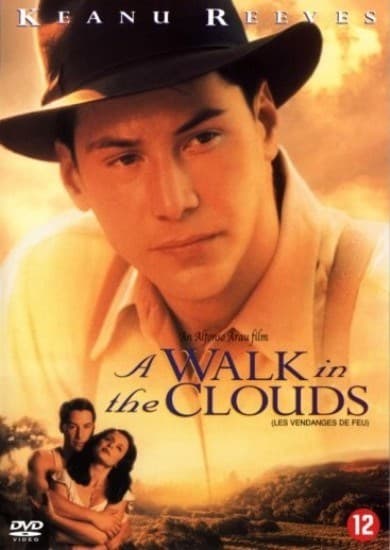 Walk In The clouds