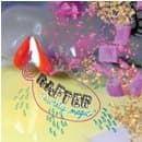 Rafter - Sweaty Magic (CD)