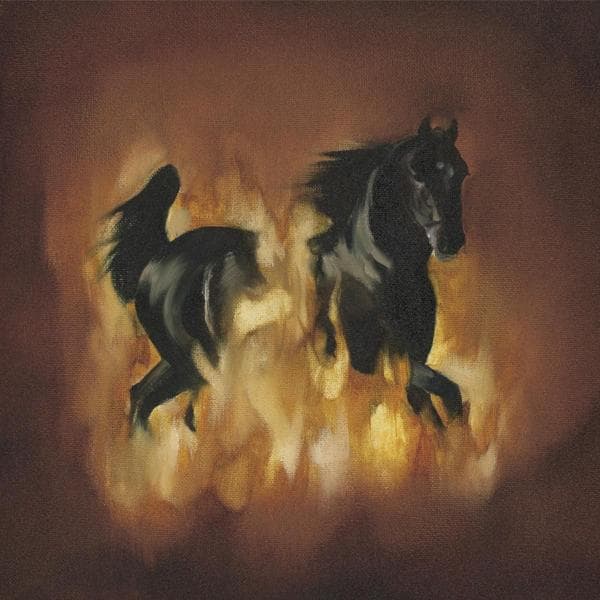 The Besnard Lakes - Are The Dark Horse (CD)