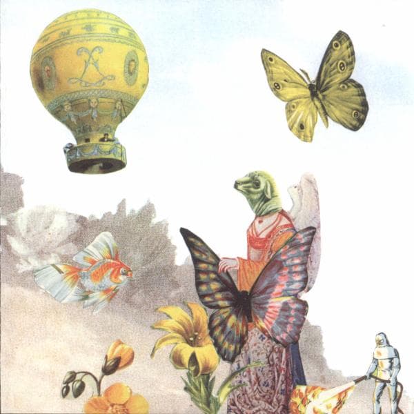 The Skygreen Leopards - Life & Love In Sparrow's Meadow (CD)