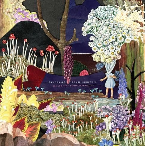 Psychedelic Porn Crumpets - And Now For The Whatchamacallit (CD)